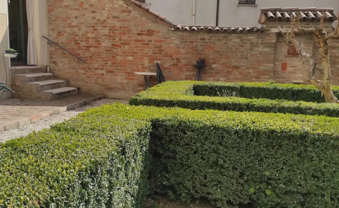 il giardino oggi (10)