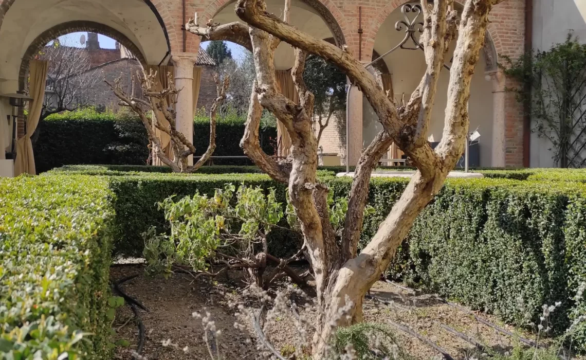 il giardino oggi (4)