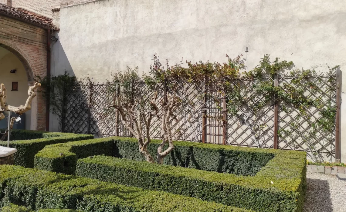 il giardino oggi (5)