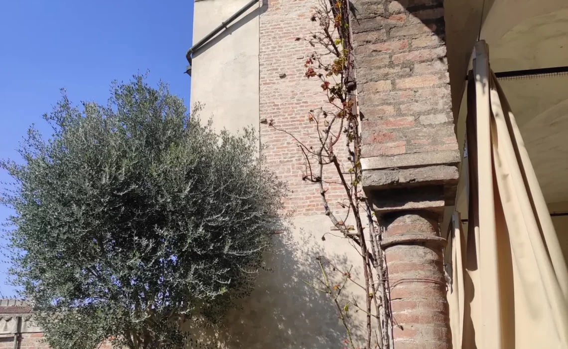 il giardino oggi (7)